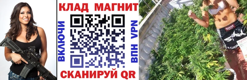 Где купить Ветлуга COCAIN  СК  Бошки Шишки 