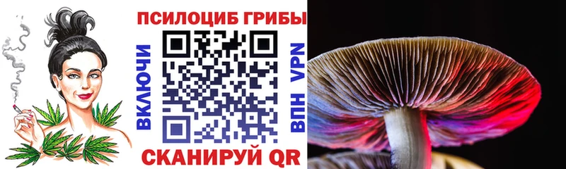купить  сайты  Ветлуга  Псилоцибиновые грибы Magic Shrooms 